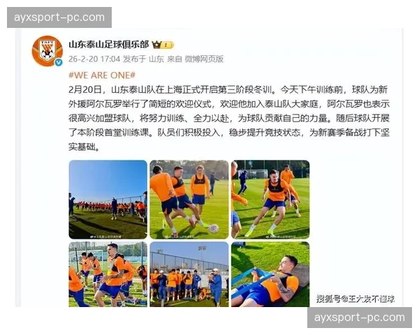 山东泰山外援调整：送走洛佩斯，引进新后卫阿尔瓦罗